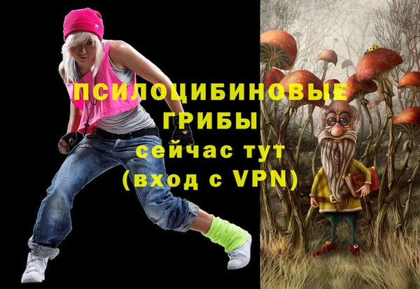 ПСИЛОЦИБИНОВЫЕ ГРИБЫ Алексин