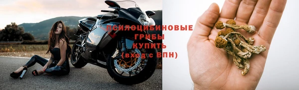 СК Алзамай