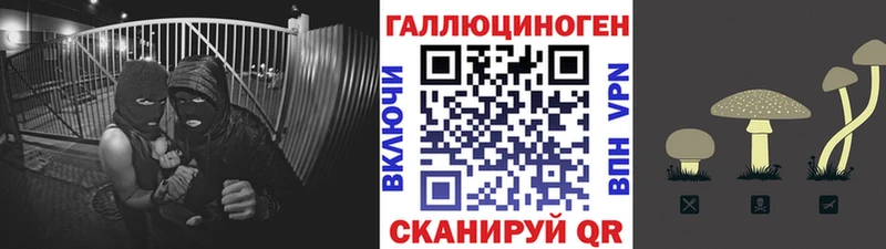 Галлюциногенные грибы ЛСД  Бийск 