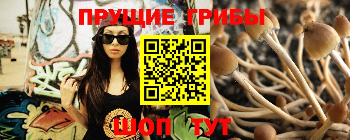 Галлюциногенные грибы Psilocybine cubensis  Вход с VPN  Галлюциногенные грибы Magic Shrooms  Бийск 