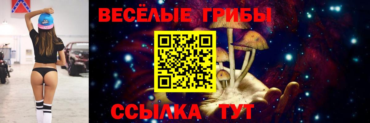 Галлюциногенные грибы MAGIC MUSHROOMS Бийск